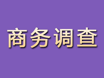 北市商务调查